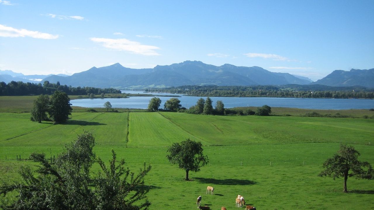 Terrassenblick Schafwaschener Bucht Terrassenblick Schafwaschener Bucht